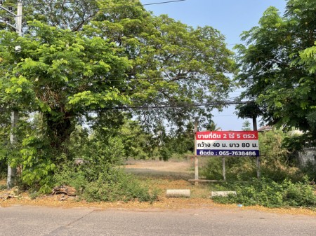 ที่ดิน ขาย ที่ดินโฉนดครุฑแดง เหมาะพัฒนาโครงการอสังหา ใจกลางเมืองอุดรธานี เหมาะเก็งกำไร ทำเลทองอุดรธานี