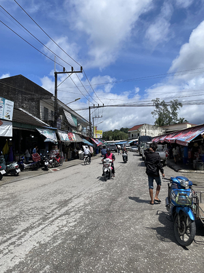 ที่ดิน ขาย ที่ดินใจกลางเมือง รีสอร์ตขนาดเล็ก ใกล้แหล่งท่องเที่ยว ที่ดินติดถนนใหญ่เมืองระนอง เหมาะทำบ้านพักรายเดือน,หอพัก