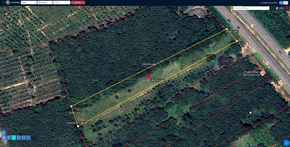 ขาย ที่ดิน พร้อมไฟฟ้าน้ำประปา ที่ดินป่าบอนถูกกว่าใกล้เคียง ที่ดินพัทลุงราคาถูก ติดถนนเพชรเกษม อสังหาพัทลุงราคาคุ้มสุด