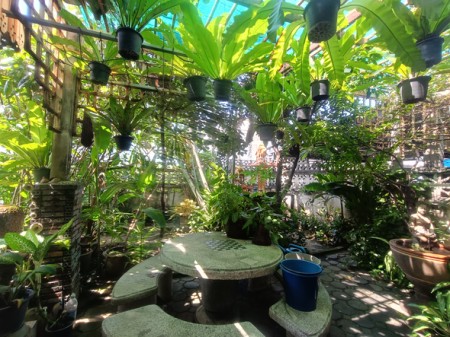 ขาย บ้าน เลียบด่วน สะดวกเดินทางหลายทาง บ้านมือสองลาดพร้าวโชคชัย4 เกษตรนวมินทร์–เอกมัย–รามอินทรา ใกล้โรงพยาบาลเปาโลโชคชัย4