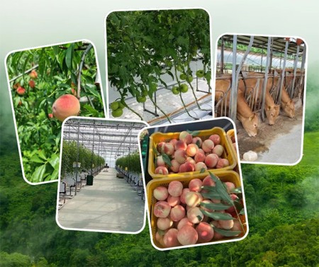 ประกาศ บริการ งานสวนประเทศออสเตรเลีย งานสวนประเทศเกาหลีใต้ รับสมัครงานต่างประเทศด่วน จัดหางานต่างประเทศ รายได้ดีมาก