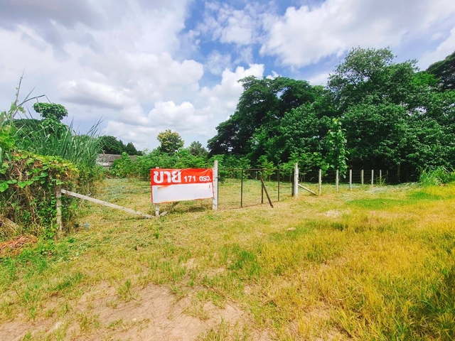 ขาย ที่ดิน ใกล้ทั้งเมืองสนามบินและศูนย์การค้า ยินดีรับนายหน้า บ้านป่าพร้าวนอกซอย6วงแหวนรอบ1 เหมาะสร้างบ้านเช่าทำออฟฟิศ เหมาะสร้างบ้านอพาร์ตเมนต์หอพัก