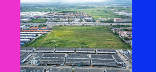 ขาย ที่ดิน ราคาถูกสุด ที่ดินชลบุรี30ไร่ ติดถนน344 เหมาะทำหมู่บ้าน ใกล้โลตัสบ้านบึง